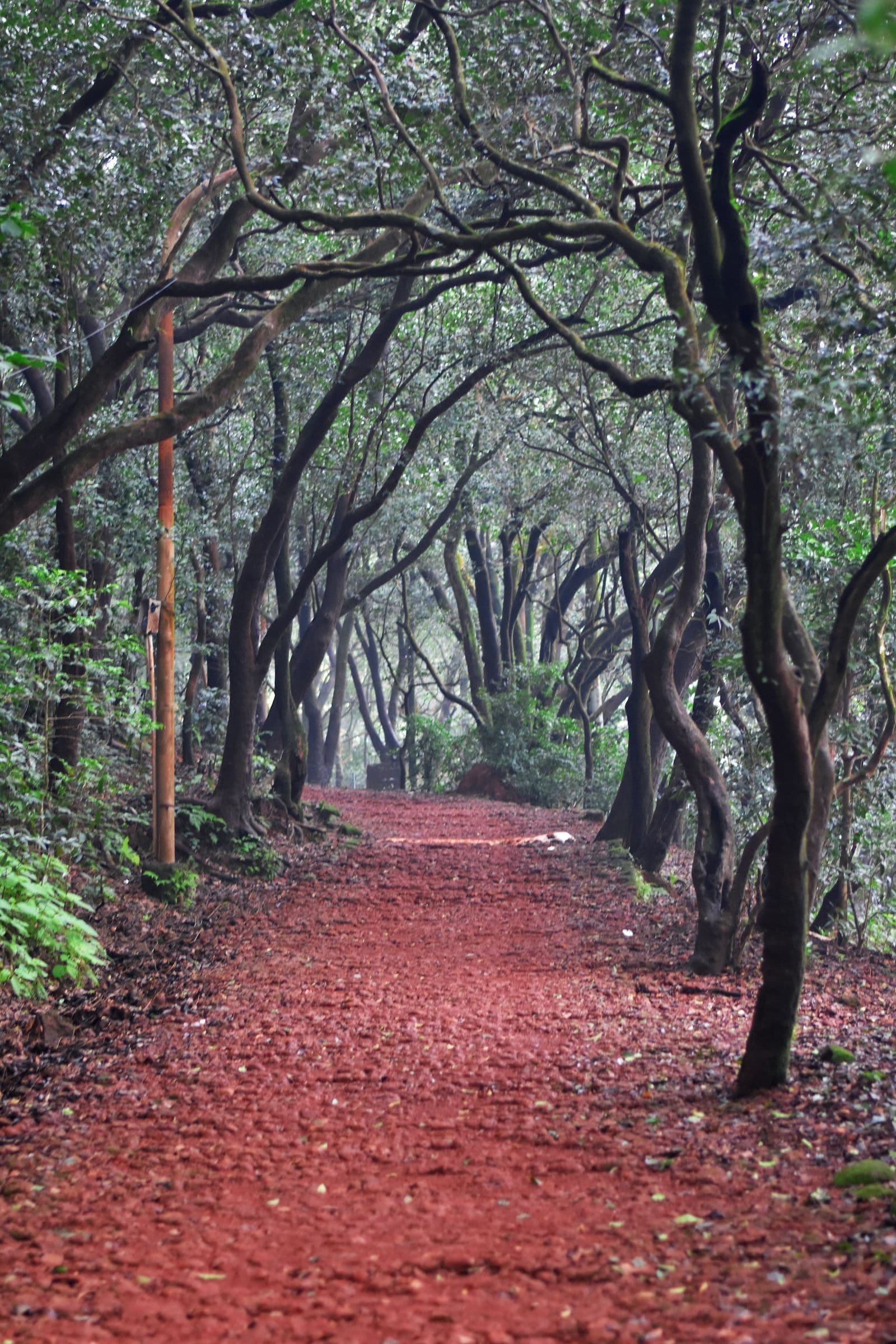 Matheran hill destination photograph