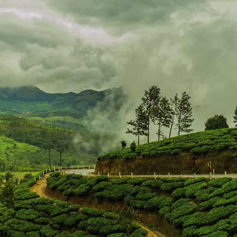 Kerala destination photograph